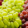 NATIONAL GRAPE DAY  May 27