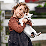 NATIONAL HUG YOUR CAT DAY  June 4