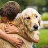 NATIONAL HUG YOUR HOUND DAY  Second Sunday in September