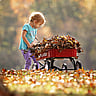 National Little Red Wagon Day | Last Wednesday in March
