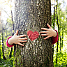 NATIONAL LOVE A TREE DAY  May 16