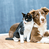 NATIONAL MAKE A FRIEND DAY - February 11 
