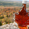 National Maple Syrup Day