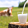 National Milk Day