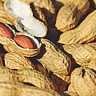 NATIONAL PEANUT DAY  September 13