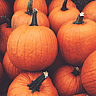 National Pumpkin Day