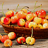 NATIONAL RAINIER CHERRY DAY | June 28