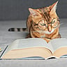NATIONAL READ A BOOK DAY  September 6