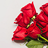 NATIONAL RED ROSE DAY  June 12