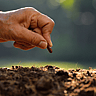 National Seed Swap Day