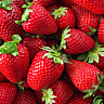 NATIONAL STRAWBERRY DAY - February 27 