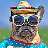 NATIONAL SUNGLASSES DAY  June 27