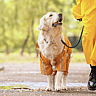NATIONAL TAKE A WALK IN THE PARK DAY  March 30