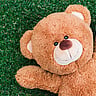 NATIONAL TEDDY BEAR DAY  September 9