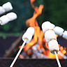 NATIONAL TOASTED MARSHMALLOW DAY  August 30