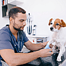 National Veterinary Technician Week