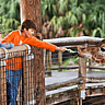 NATIONAL ZOO LOVERS DAY