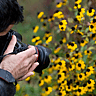 NATURE PHOTOGRAPHY DAY  June 15