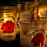 REMEMBRANCE DAY | November 11
