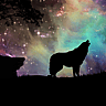 Wolfenoot