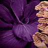 WORLD NARCISSISTIC ABUSE AWARENESS DAY | June 1