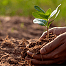 World Soil Day