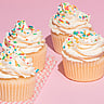 National Cupcake Day