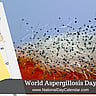 World Aspergillosis Day - February 1