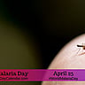 World Malaria Day - April 25