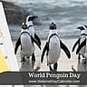 World Penguin Day - April 25
