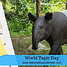 World Tapir Day - April 27