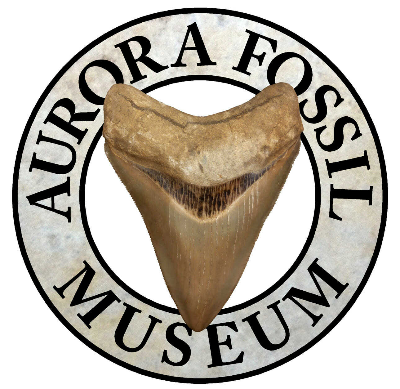 Aurora Fossil Museum -Logo