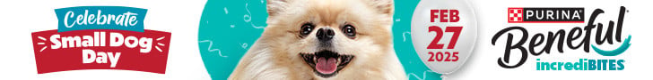 National Small Dog Day