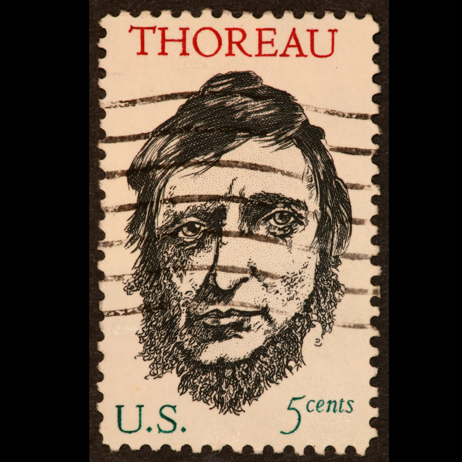 Chin strap Henry David Thoreau