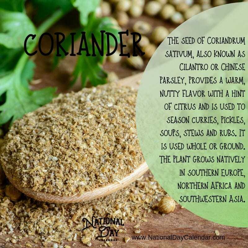 Coriander