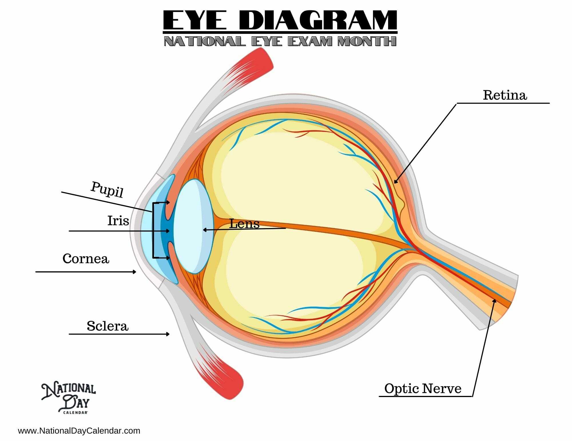 Eye Diagram