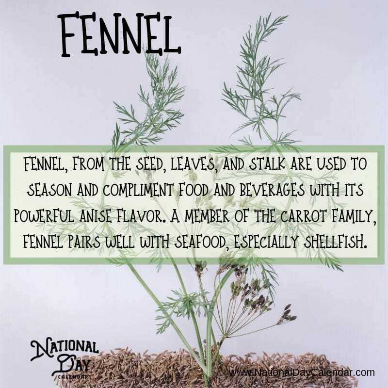 Fennel