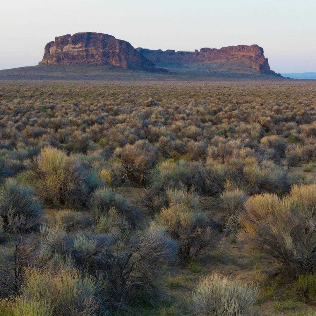Fort Rock