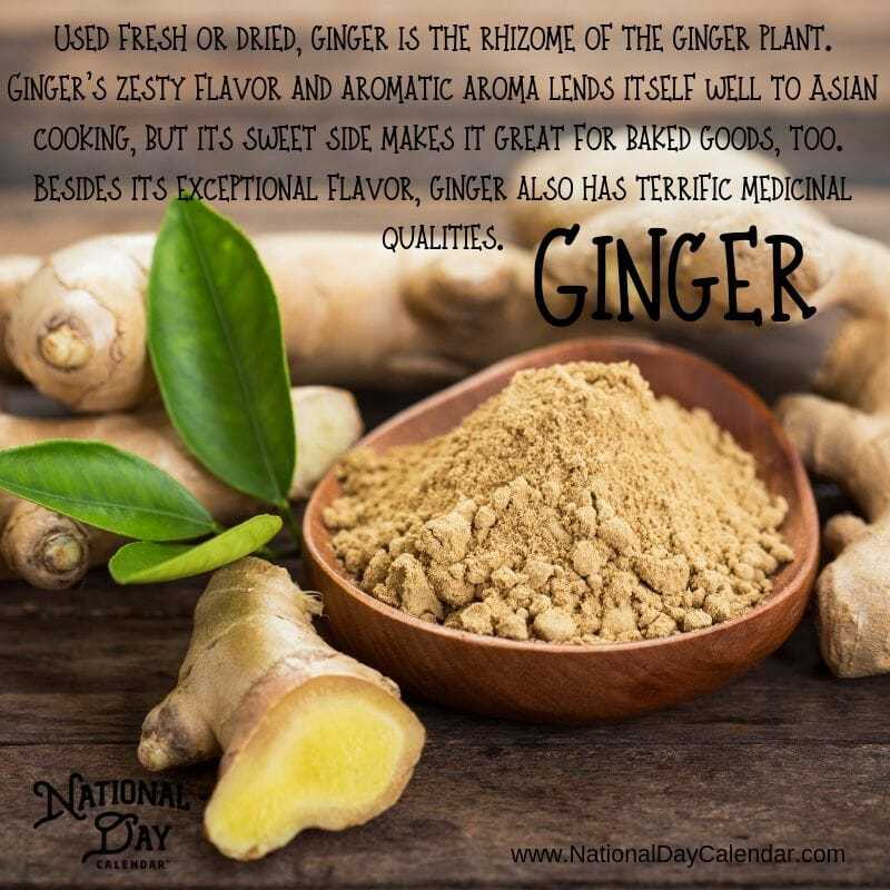 Ginger