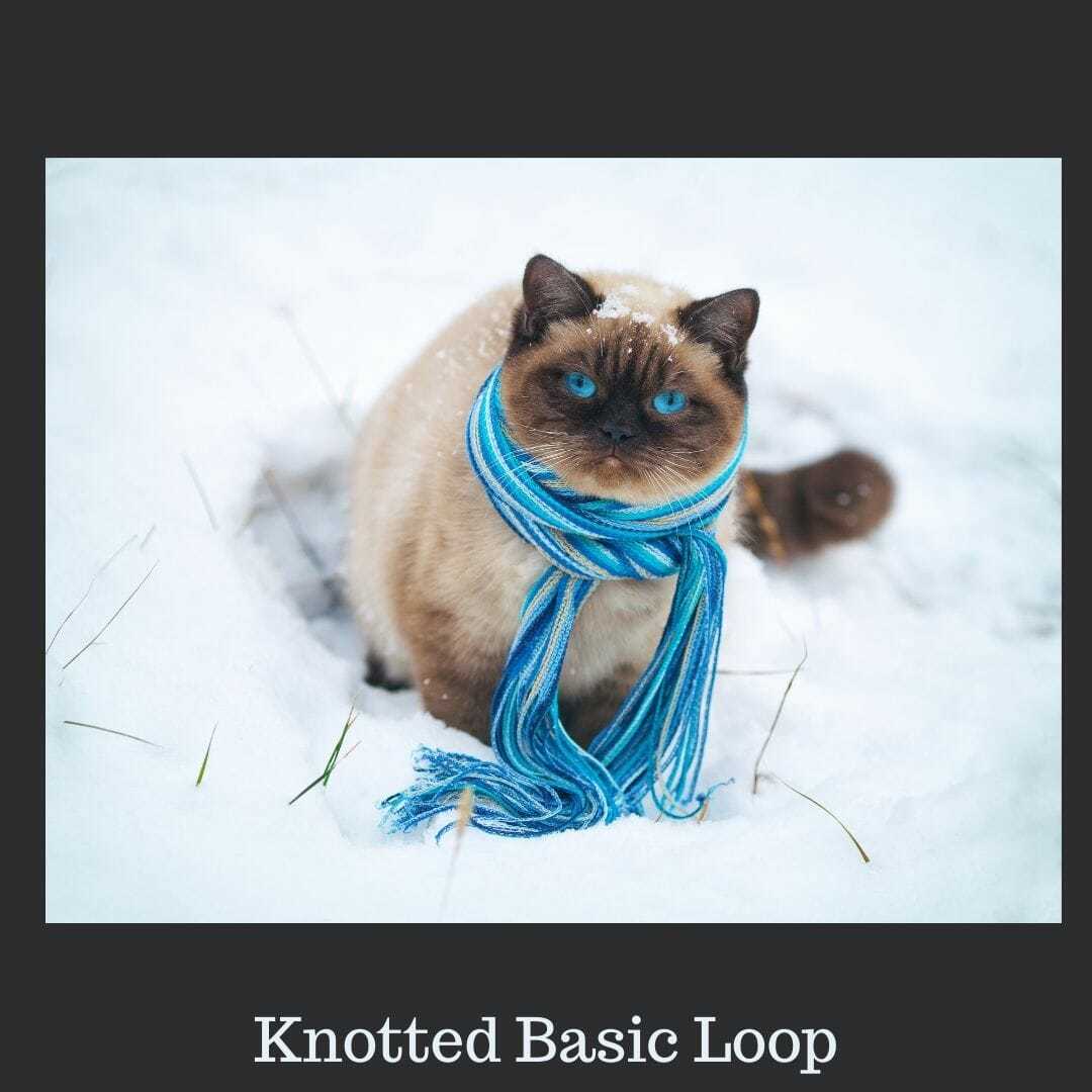 knotted basic loop