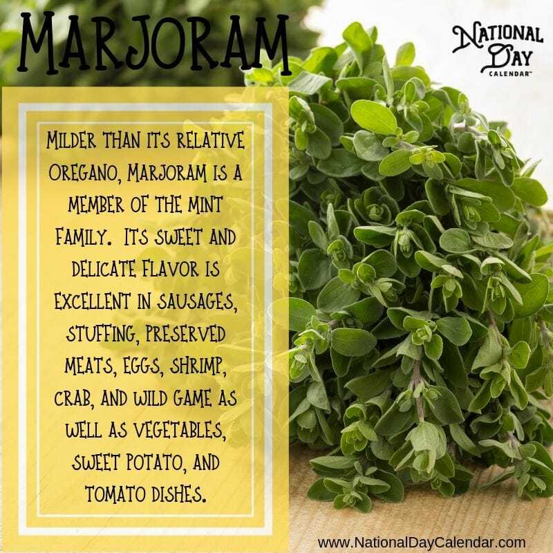 Marjoram