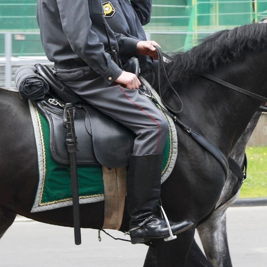 Mounted Police