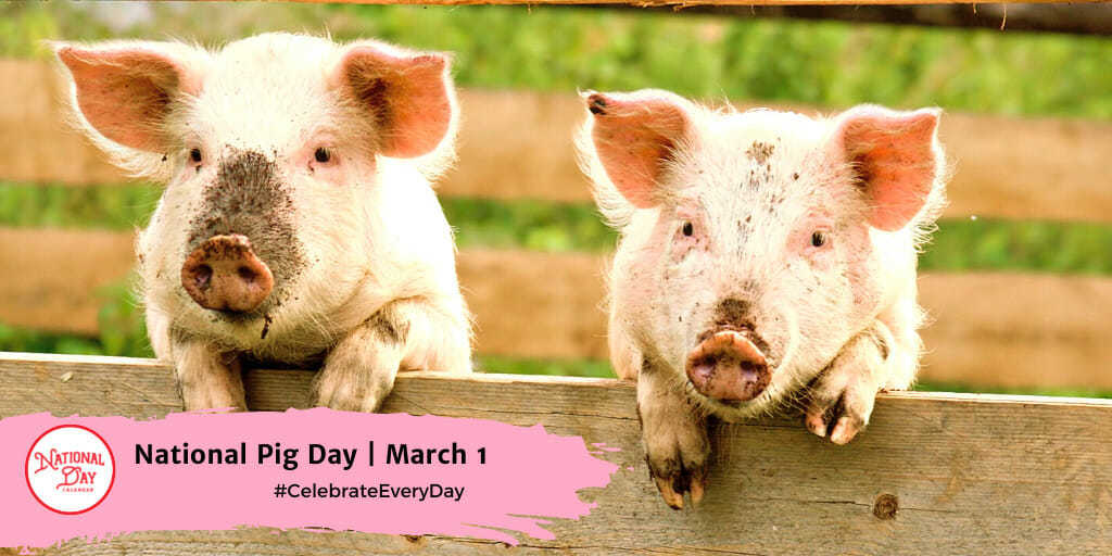 National Pig Day | March 1