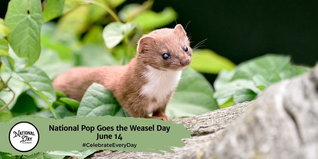 National Pop Goes the Weasel Day | June 14