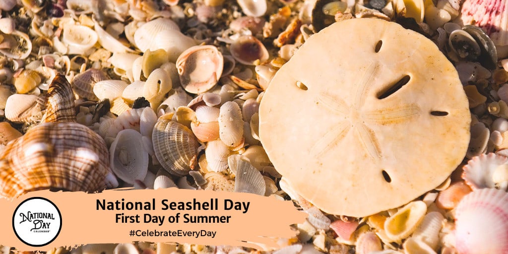 National Seashell Day | First Day of Summer