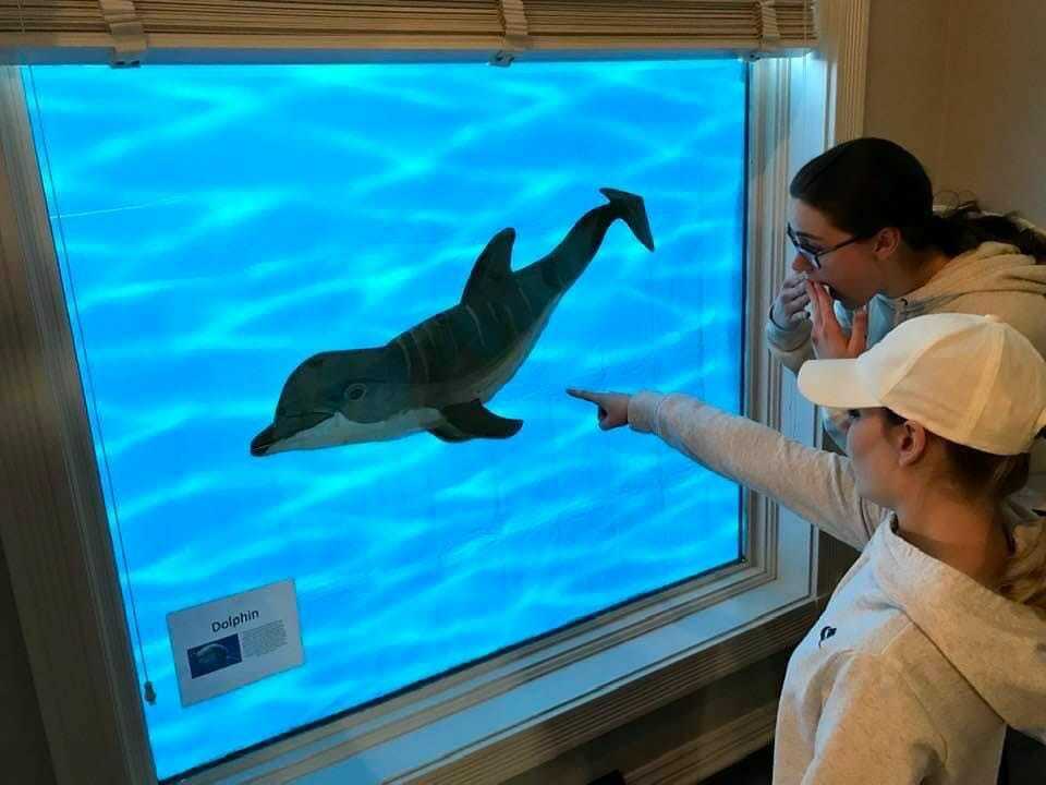 Resch Dolphin Day
