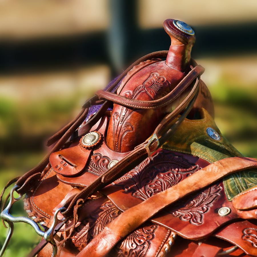 Saddle