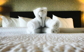 Towel Art